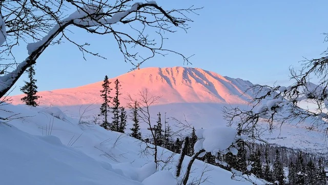 Gaustatoppen in pink winter light