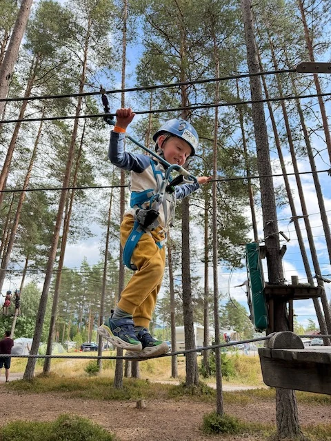Child climbing in a forest ropes course